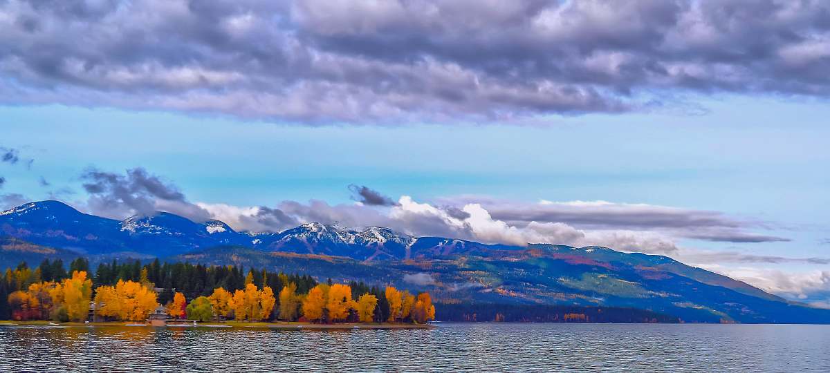 whitefish forest near body of water sky